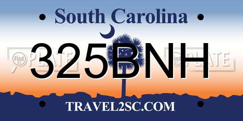 325BNH South Carolina License Plate