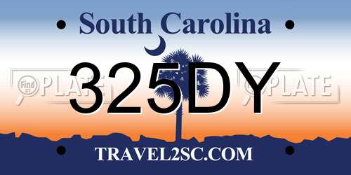 325DY South Carolina License Plate