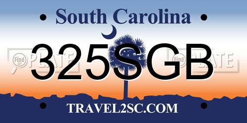 325SGB South Carolina License Plate