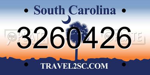 3260426 South Carolina License Plate