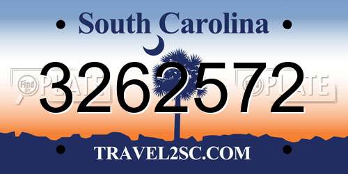 3262572 South Carolina License Plate