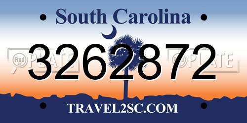 3262872 South Carolina License Plate