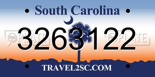 3263122 South Carolina License Plate