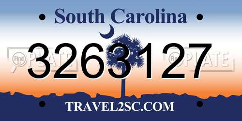 3263127 South Carolina License Plate