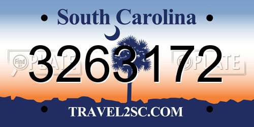 3263172 South Carolina License Plate