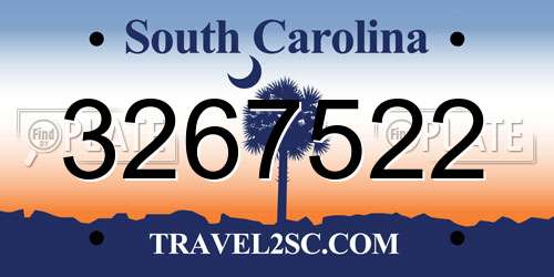 3267522 South Carolina License Plate
