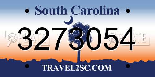 3273054 South Carolina License Plate