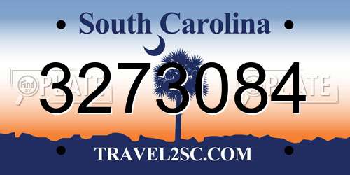 3273084 South Carolina License Plate