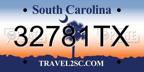 32781TX South Carolina License Plate