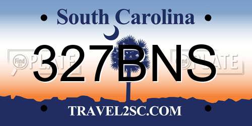 327BNS South Carolina License Plate