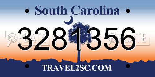3281356 South Carolina License Plate