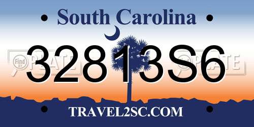 32813S6 South Carolina License Plate