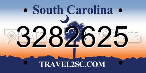 3282625 South Carolina License Plate