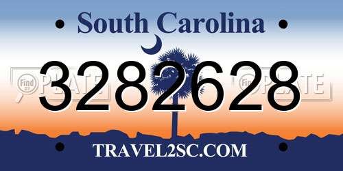 3282628 South Carolina License Plate