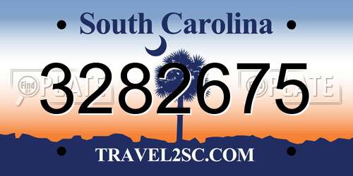 3282675 South Carolina License Plate