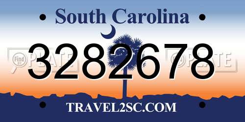 3282678 South Carolina License Plate
