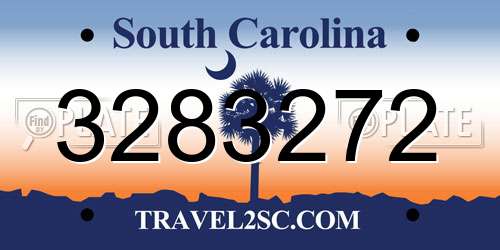 3283272 South Carolina License Plate