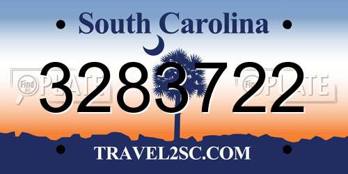 3283722 South Carolina License Plate
