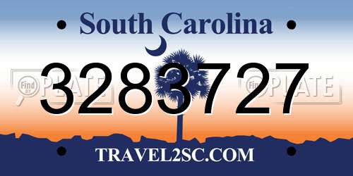 3283727 South Carolina License Plate