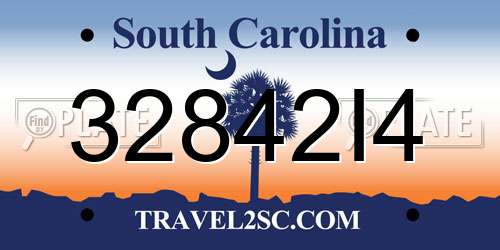 32842I4 South Carolina License Plate