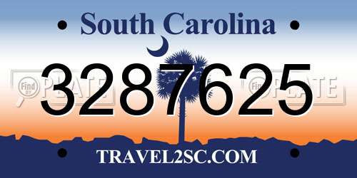 3287625 South Carolina License Plate