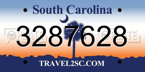 3287628 South Carolina License Plate