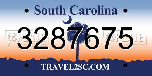 3287675 South Carolina License Plate