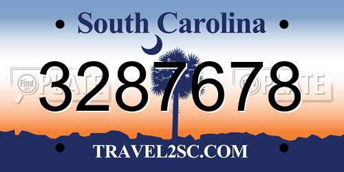 3287678 South Carolina License Plate