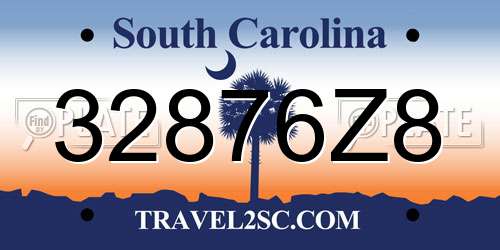 32876Z8 South Carolina License Plate