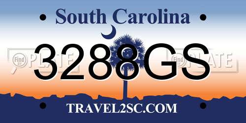 3288GS South Carolina License Plate