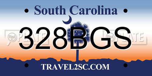 328BGS South Carolina License Plate