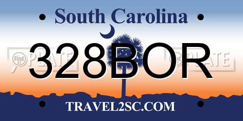 328BOR South Carolina License Plate
