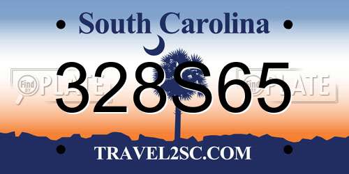 328S65 South Carolina License Plate