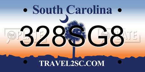 328SG8 South Carolina License Plate