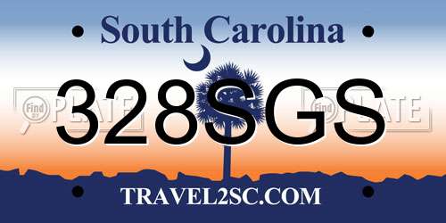 328SGS South Carolina License Plate
