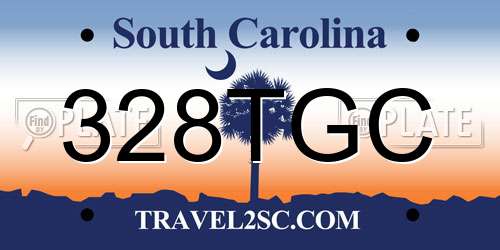 328TGC South Carolina License Plate