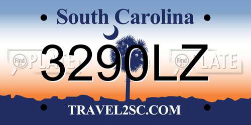 3290LZ South Carolina License Plate