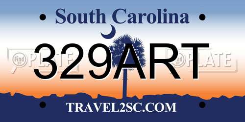 329ART South Carolina License Plate