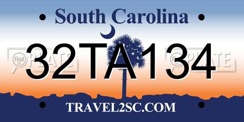 32TA134 South Carolina License Plate
