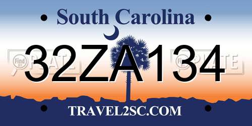 32ZA134 South Carolina License Plate