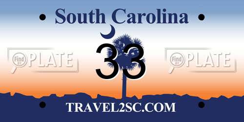 33 South Carolina License Plate