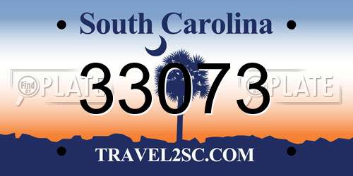 33073 South Carolina License Plate