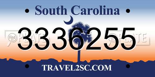 3336255 South Carolina License Plate