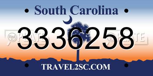 3336258 South Carolina License Plate