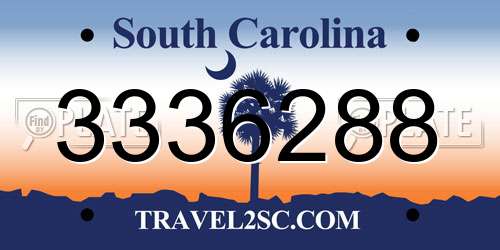 3336288 South Carolina License Plate