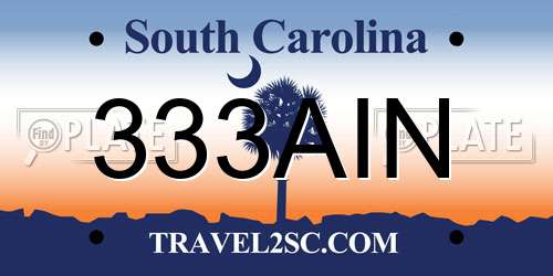 333AIN South Carolina License Plate