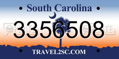 3356508 South Carolina License Plate