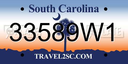 33589W1 South Carolina License Plate