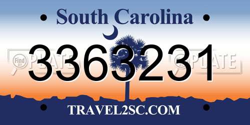 3363231 South Carolina License Plate