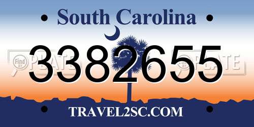 3382655 South Carolina License Plate